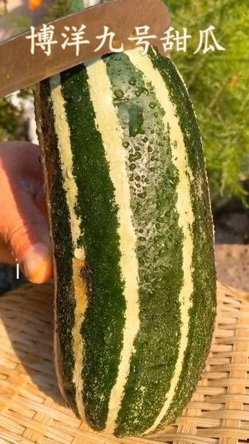 大姨妈可以吃熟瓜么,熟瓜是否适宜食用？