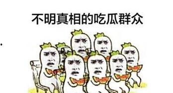 武汉吃瓜群众反应图,一图看尽民间百态
