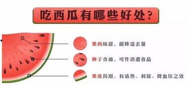 吃西瓜送呆瓜,吃西瓜送呆瓜，欢乐无限