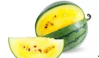 冬天吃白金密瓜好吗,冬季品尝白金密瓜的甜蜜诱惑