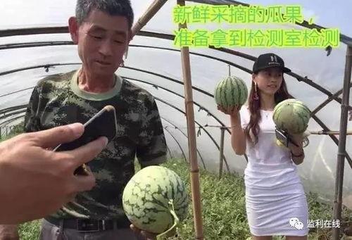 送心吃瓜群众直播,送心吃瓜群众带你领略网络直播魅力