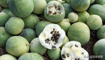 吃瓜磕瓜子,吃瓜磕瓜子的悠闲时光