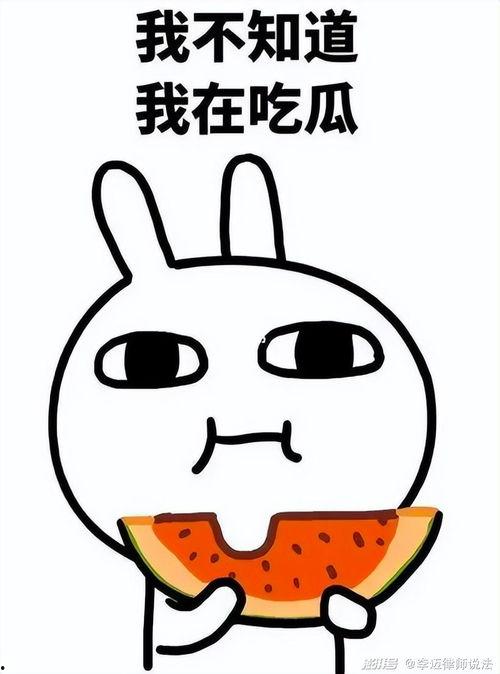 吃瓜社会旺柴,揭秘网络舆论背后的狂欢与反思