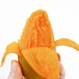 吃瓜的雪芒,探寻吃瓜者的甜蜜秘密