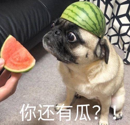 吃瓜输液,揭秘现代生活新现象