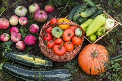 吃瓜为什么要补