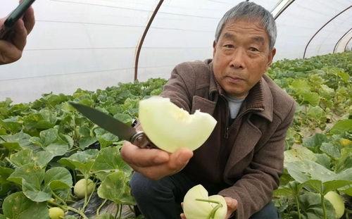 疫情以后吃瓜,揭秘网络舆论场的新现象