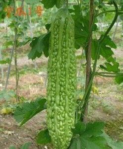 宁王微笑吃瓜,揭秘电竞圈幕后风云