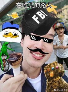 幸运的吃瓜路人,揭秘人生百态的趣味旅程