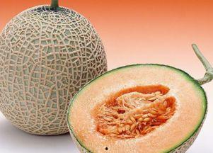 去瓜洲吃哈密瓜怎么样,尽享哈密瓜的甜蜜诱惑