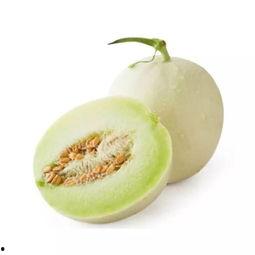 吃白雪蜜瓜,白雪蜜瓜的清新滋味