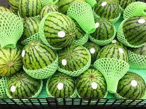 吃瓜江苏旅游,瓜田里的风情万种，尽享江南水乡魅力