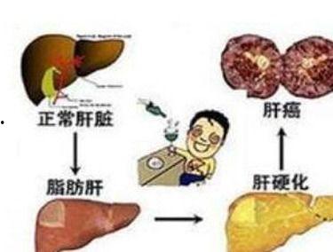 肝癌可以吃方瓜吗,营养与健康的双重守护