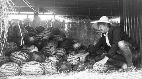 沂水吃瓜群众们事件,网络舆论下的社会现象解析