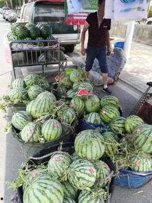 西安曲江吃瓜事件,一场网络热议背后的真相与反思