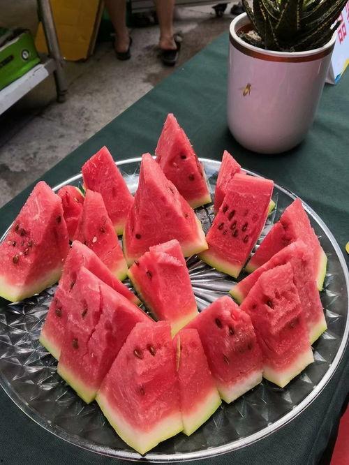 北流吃瓜王,揭秘瓜界风云人物