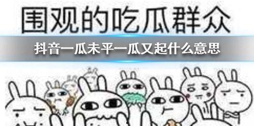 抖音2019吃瓜,盘点那些年我们一起“吃瓜”的瞬间