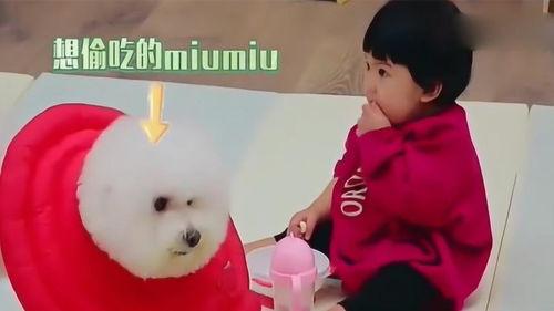 法妞吃瓜,揭秘娱乐圈那些不为人知的幕后故事