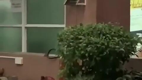 中山吃瓜新闻事件,一场网络舆论的风波与反思