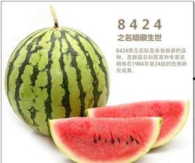 吃瓜悔恨,揭秘网络舆论的陷阱与反思