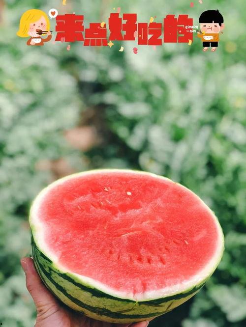 越秀地产吃瓜事件,揭秘背后真相与网络舆论风暴